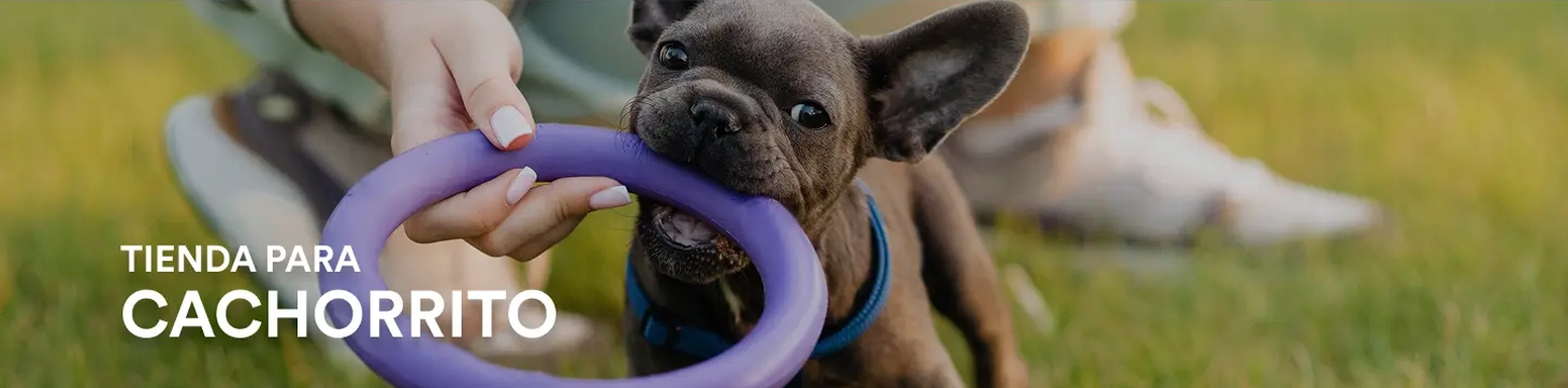 Imagen de vista previa