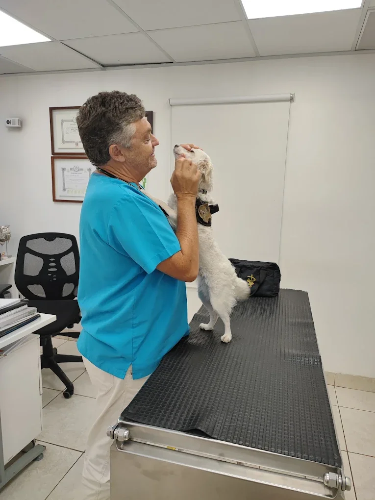 Imagen de vista previa