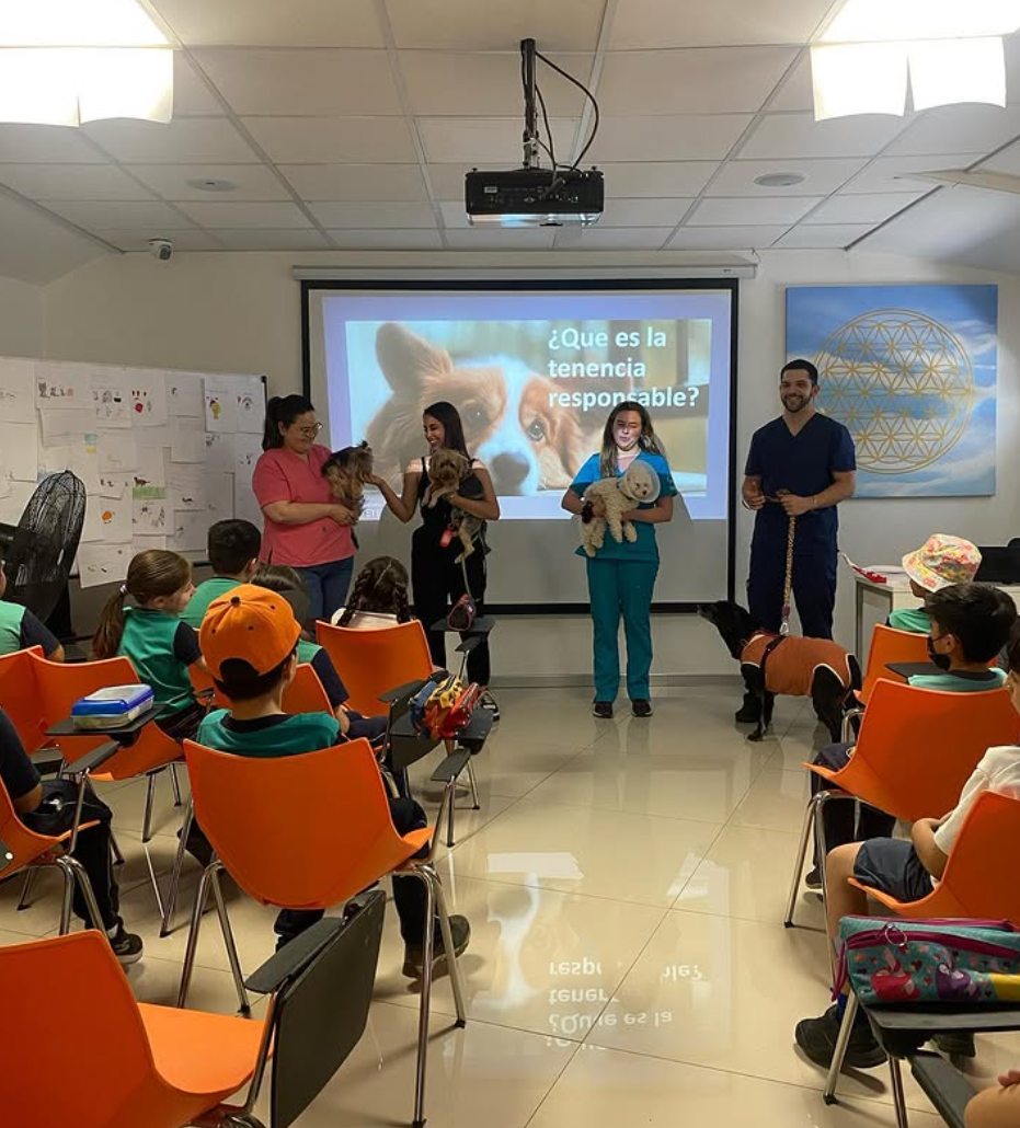 Imagen de vista previa